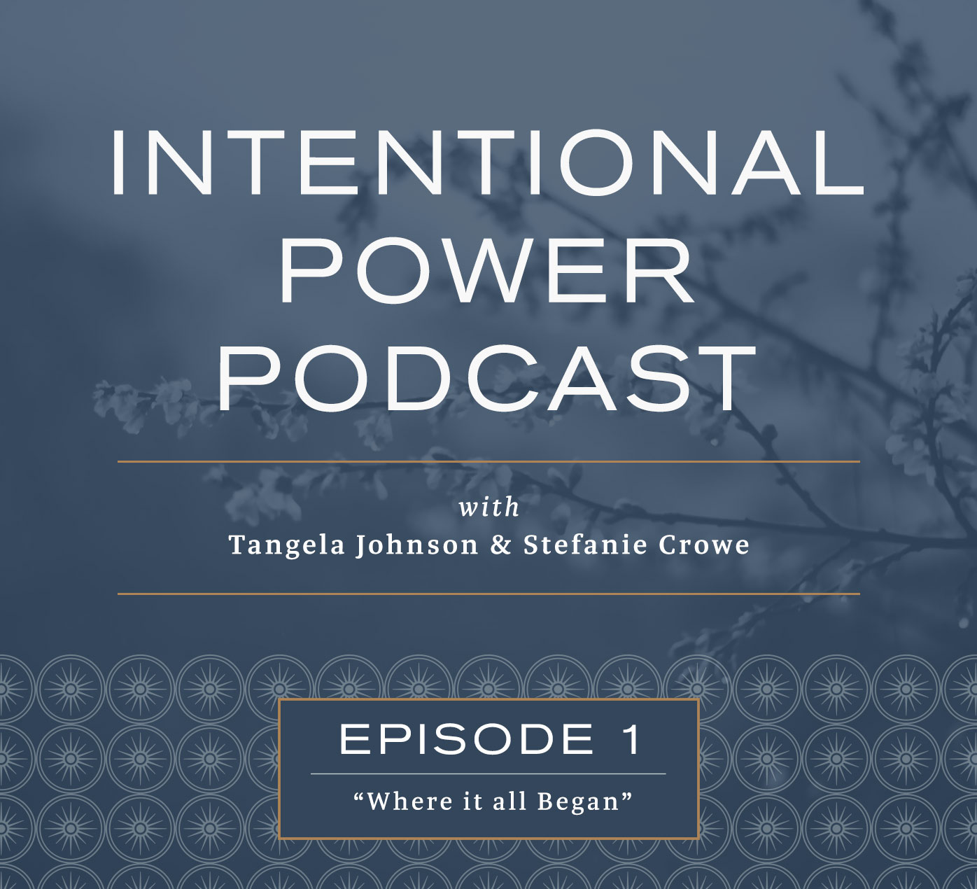 Intentional Power Podcast - Episode 1: Where it all Began