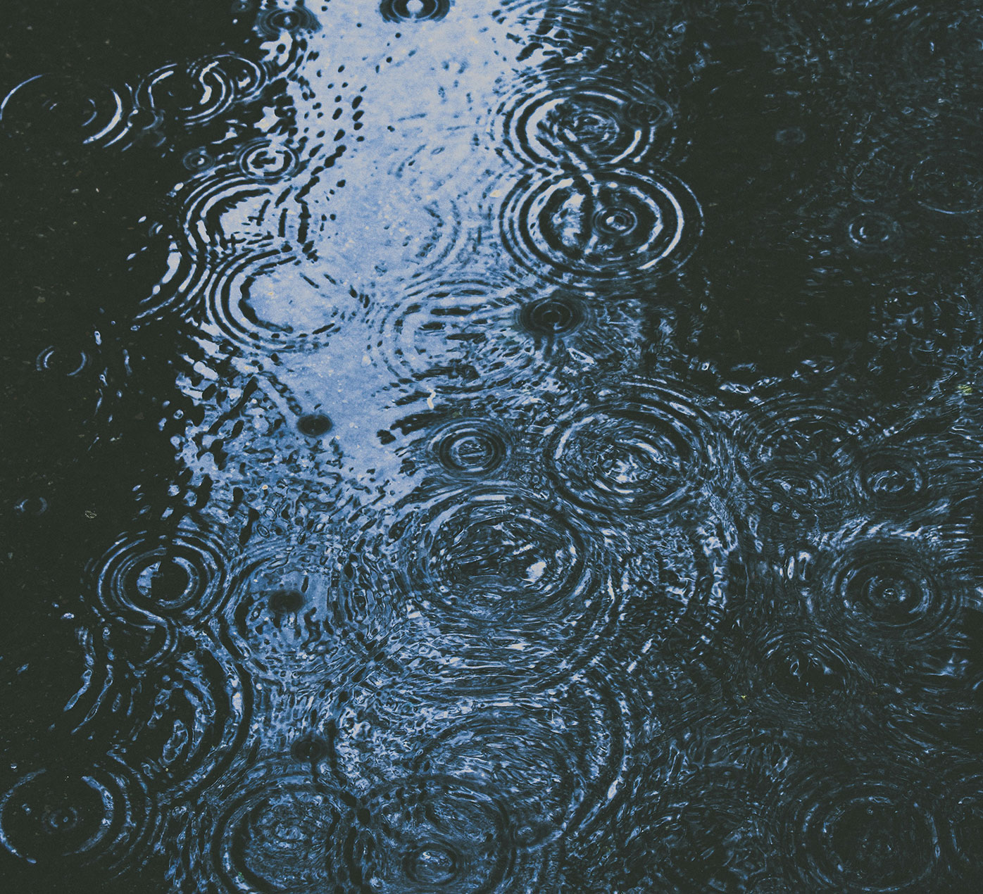 Ripples in a puddle from rain